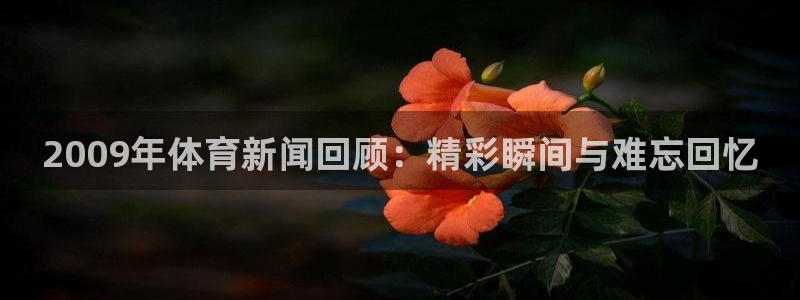 2009年体育新闻回顾：精彩瞬间与难忘回忆