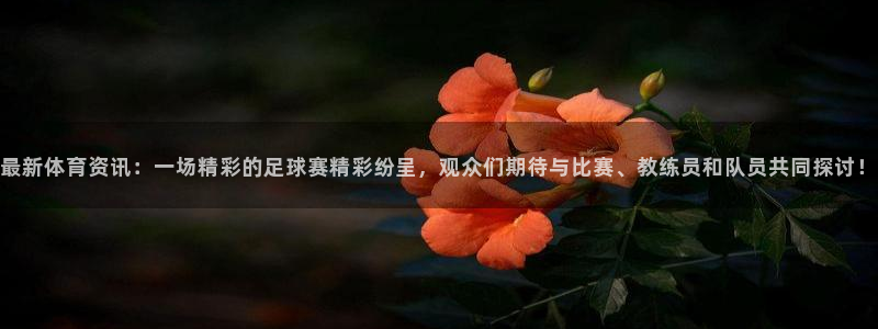 最新体育资讯：一场精彩的足球赛精彩纷呈，观众们期待与比赛、教练员和队员共同探讨！