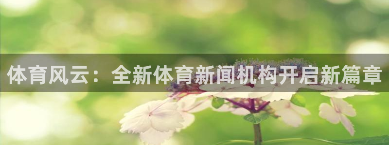 体育风云：全新体育新闻机构开启新篇章