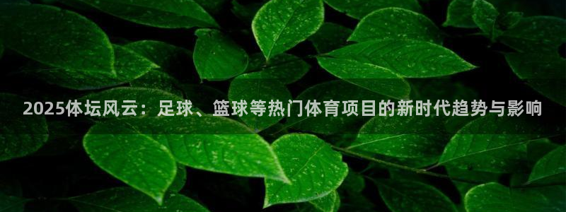 2025体坛风云：足球、篮球等热门体育项目的新时代趋势与影响