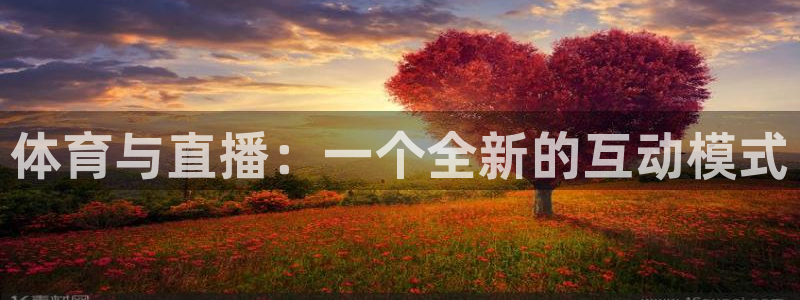 体育与直播：一个全新的互动模式