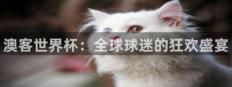 澳客世界杯：全球球迷的狂欢盛宴