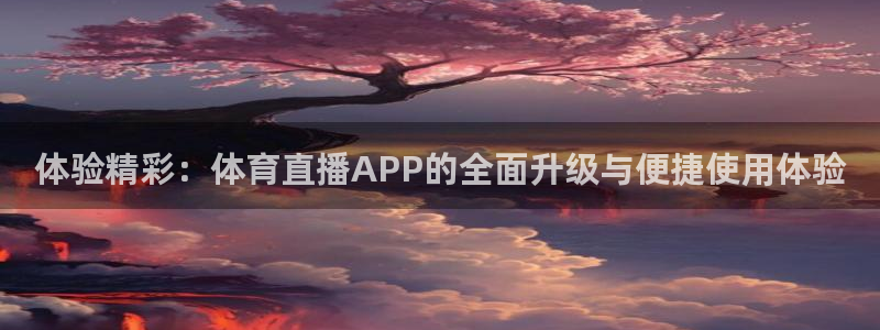 体验精彩：体育直播APP的全面升级与便捷使用体验