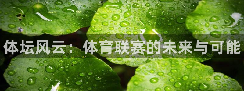 体坛风云：体育联赛的未来与可能