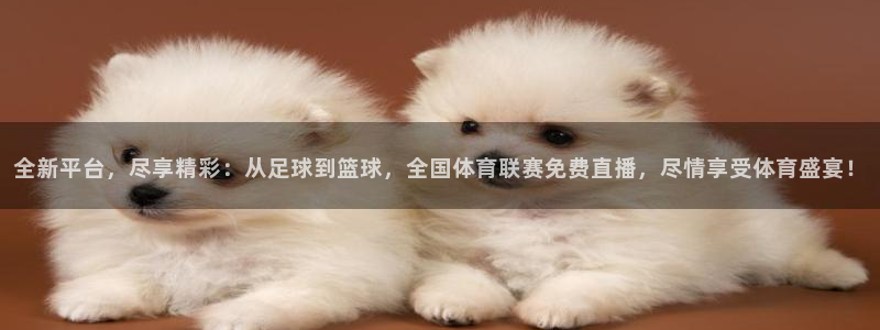 全新平台，尽享精彩：从足球到篮球，全国体育联赛免费直播，尽情享受体育盛宴！