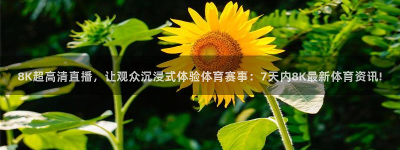 8K超高清直播，让观众沉浸式体验体育赛事：7天内8K最新体育资讯!
