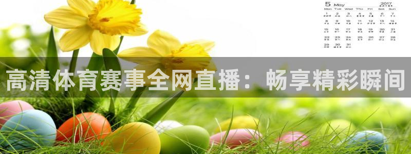 高清体育赛事全网直播：畅享精彩瞬间