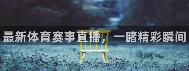 最新体育赛事直播，一睹精彩瞬间
