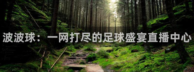 波波球：一网打尽的足球盛宴直播中心
