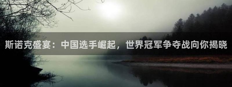 斯诺克盛宴：中国选手崛起，世界冠军争夺战向你揭晓