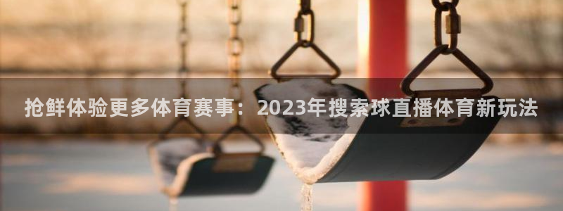 抢鲜体验更多体育赛事：2023年搜索球直播体育新玩法