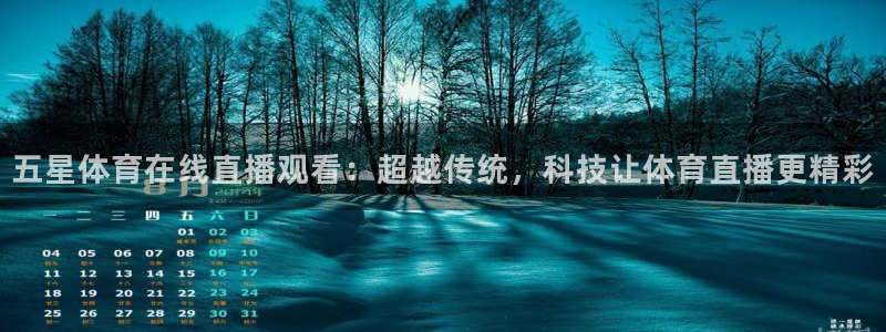 五星体育在线直播观看：超越传统，科技让体育直播更精彩