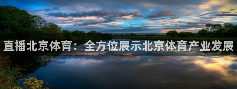 直播北京体育：全方位展示北京体育产业发展