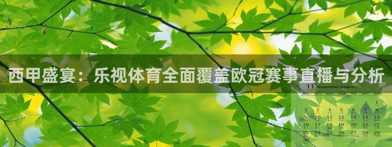 西甲盛宴：乐视体育全面覆盖欧冠赛事直播与分析
