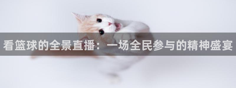 看篮球的全景直播：一场全民参与的精神盛宴