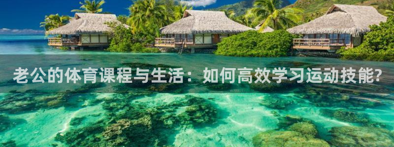 老公的体育课程与生活：如何高效学习运动技能?