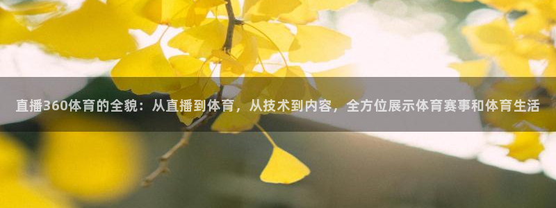 直播360体育的全貌：从直播到体育，从技术到内容，全方位展示体育赛事和体育生活