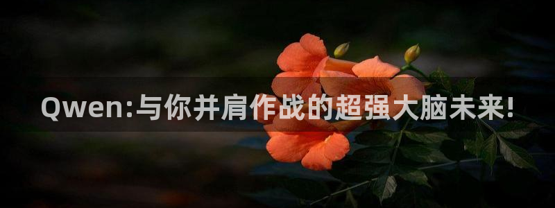 Qwen:与你并肩作战的超强大脑未来!
