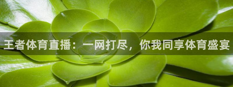 王者体育直播：一网打尽，你我同享体育盛宴