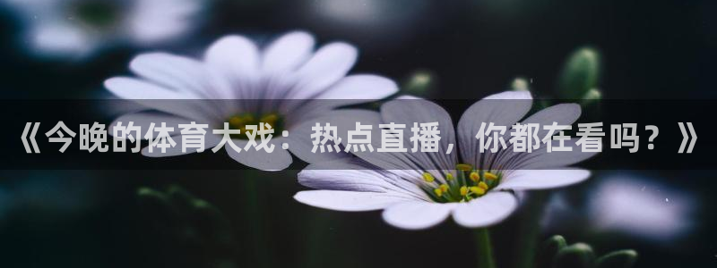 《今晚的体育大戏：热点直播，你都在看吗？》