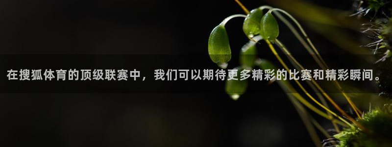 在搜狐体育的顶级联赛中，我们可以期待更多精彩的比赛和精彩瞬间。