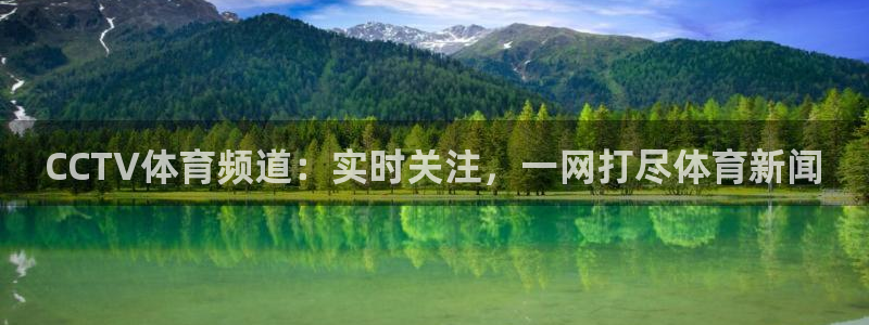 CCTV体育频道：实时关注，一网打尽体育新闻