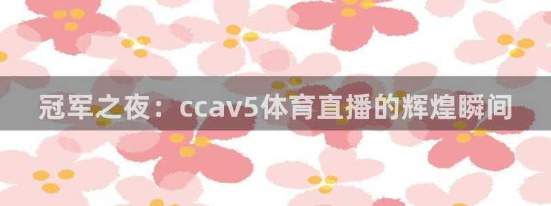 冠军之夜：ccav5体育直播的辉煌瞬间
