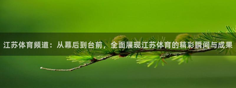 江苏体育频道：从幕后到台前，全面展现江苏体育的精彩瞬间与成果