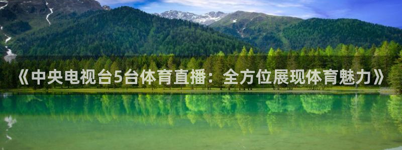 《中央电视台5台体育直播：全方位展现体育魅力》