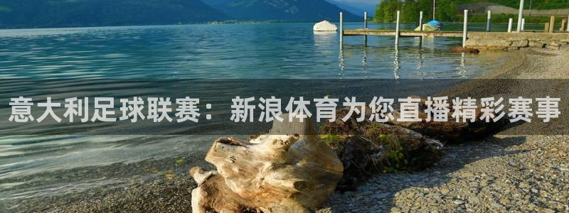 意大利足球联赛：新浪体育为您直播精彩赛事