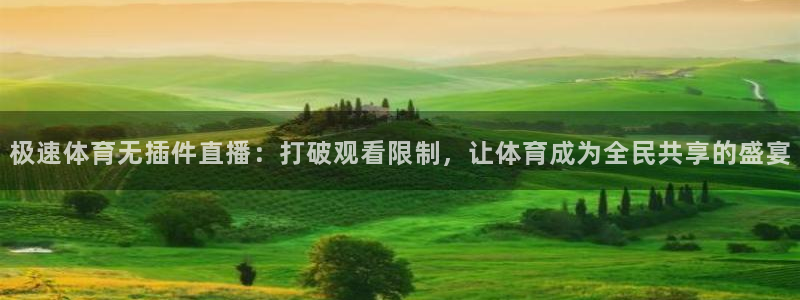 极速体育无插件直播：打破观看限制，让体育成为全民共享的盛宴