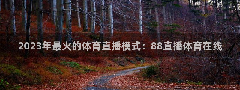 2023年最火的体育直播模式：88直播体育在线