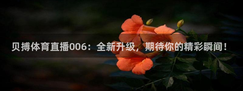 贝搏体育直播006：全新升级，期待你的精彩瞬间！