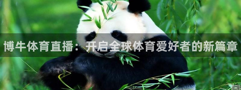 博牛体育直播：开启全球体育爱好者的新篇章