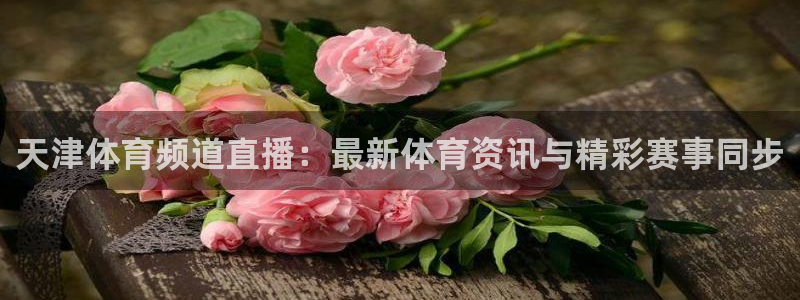 天津体育频道直播：最新体育资讯与精彩赛事同步